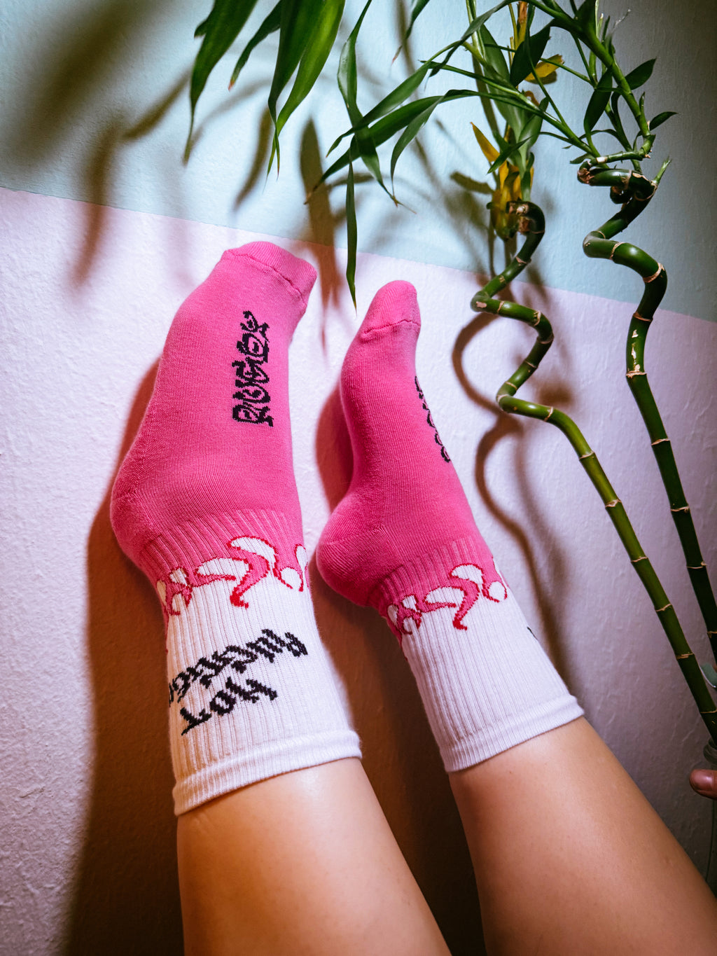 Pink socks with black text and white accents worn by a person, with a plant in the background.